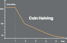 Coin halving